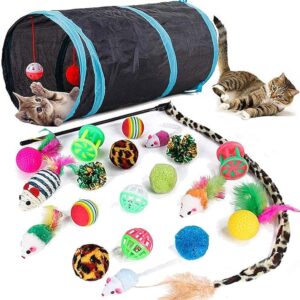 Speedy Panther 21 Piece Cat Toy Set