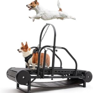 Dog Training Band for Large and Medium Dogs with Brake. Dog Slat Mill for a Healthy and Fit Dog Life, Dog Training Band for Indoor and Outdoor Use