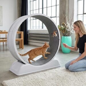 Cat Wheel 80 x 80 cm Cat Wheels for Indoor Cats